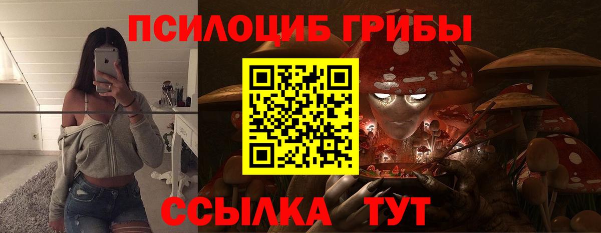 Галлюциногенные грибы GOLDEN TEACHER Среднеуральск